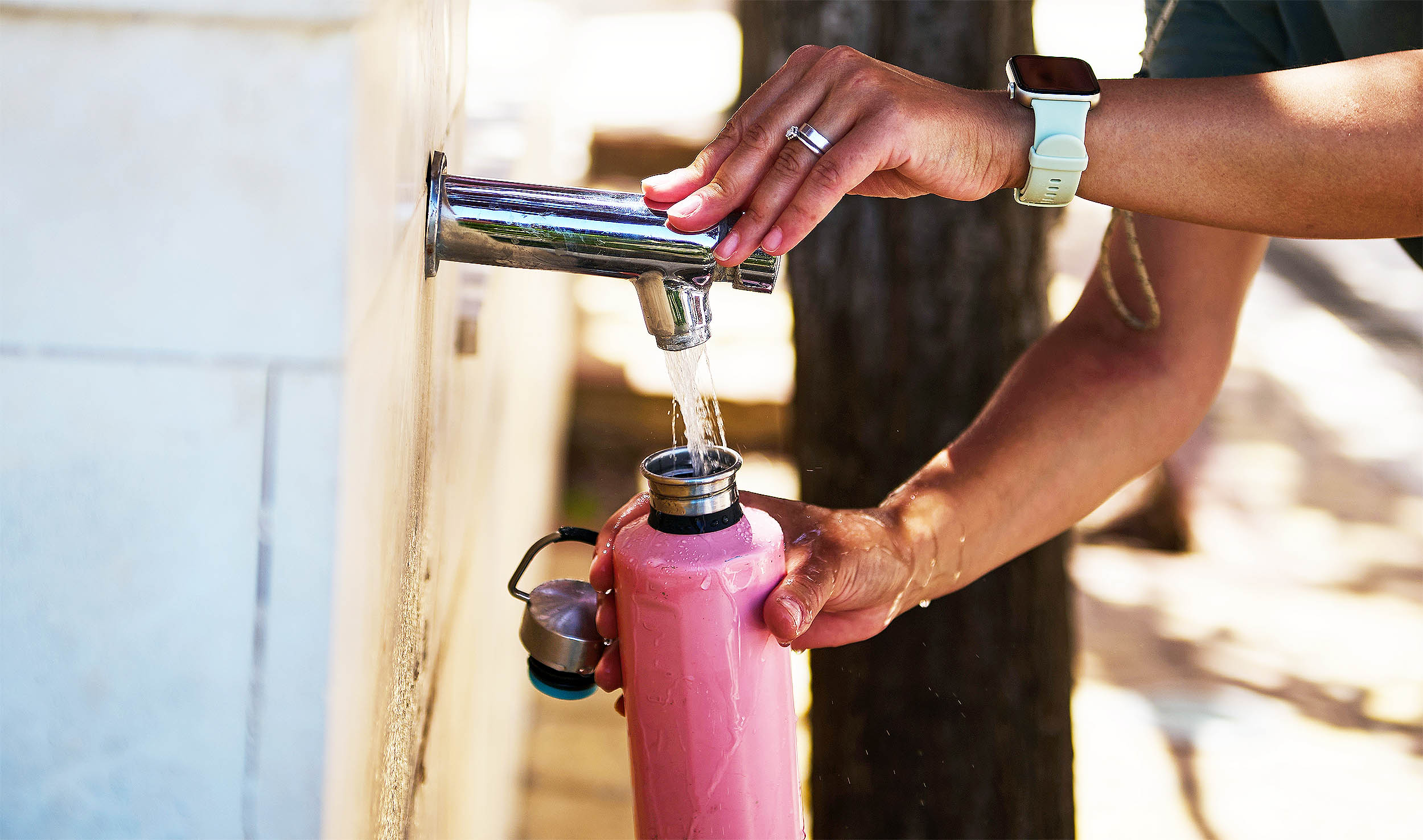 Reusable water bottles are a “breeding ground” for deadly bacteria