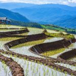 How North America boost Asia's monsoon season