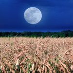 This weekend's Corn Moon marks farewell to summer