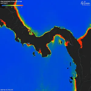 Extremely low chlorophyll concentrations in the oceans around Panama (blue = low, red = high) in February 2025, revealing the failure of the 2025 upwelling in the Gulf of Panama—for the first time in at least 40 years. Credit: Aaron O'Dea