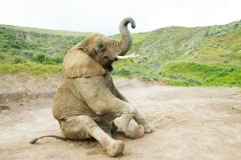 News article thumbnail