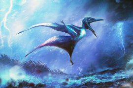 News article thumbnail