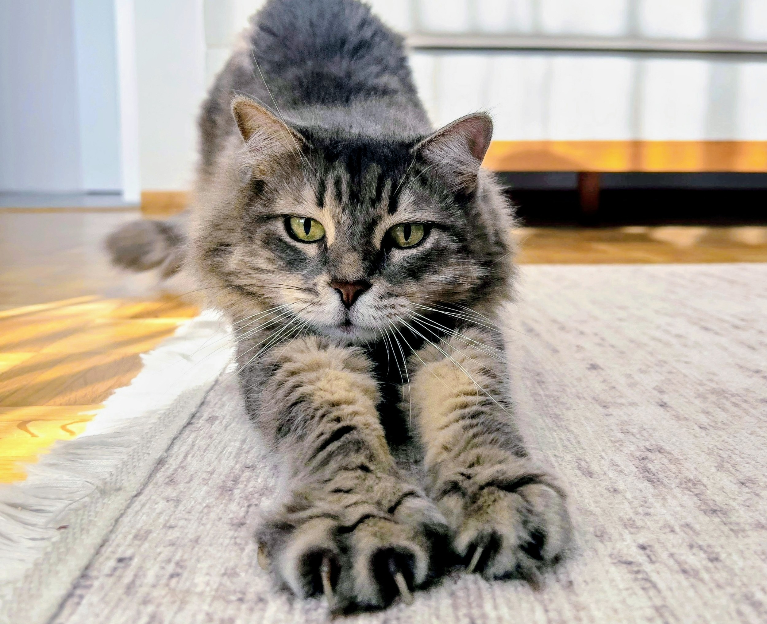 Муурны хумсыг мэс заслаар авах нь мэдрэлийн тогтолцоонд байнгын гэмтэл үүсгэдэг