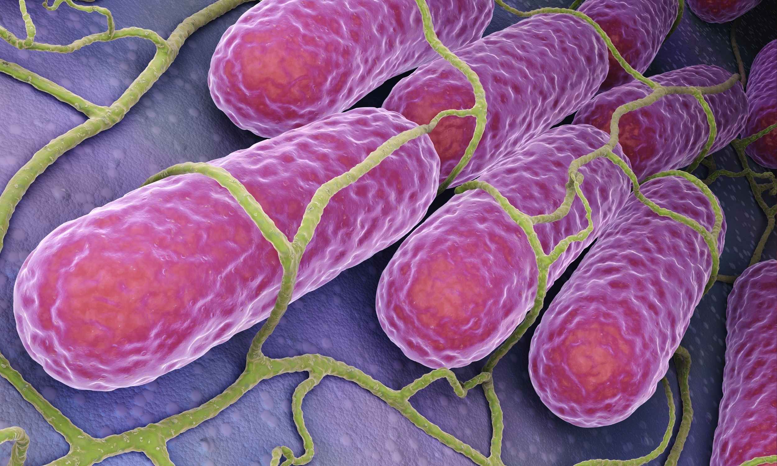 Warmer weather is impacting global food supply, but not in the way you think