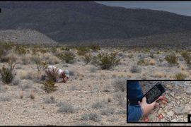 News article thumbnail