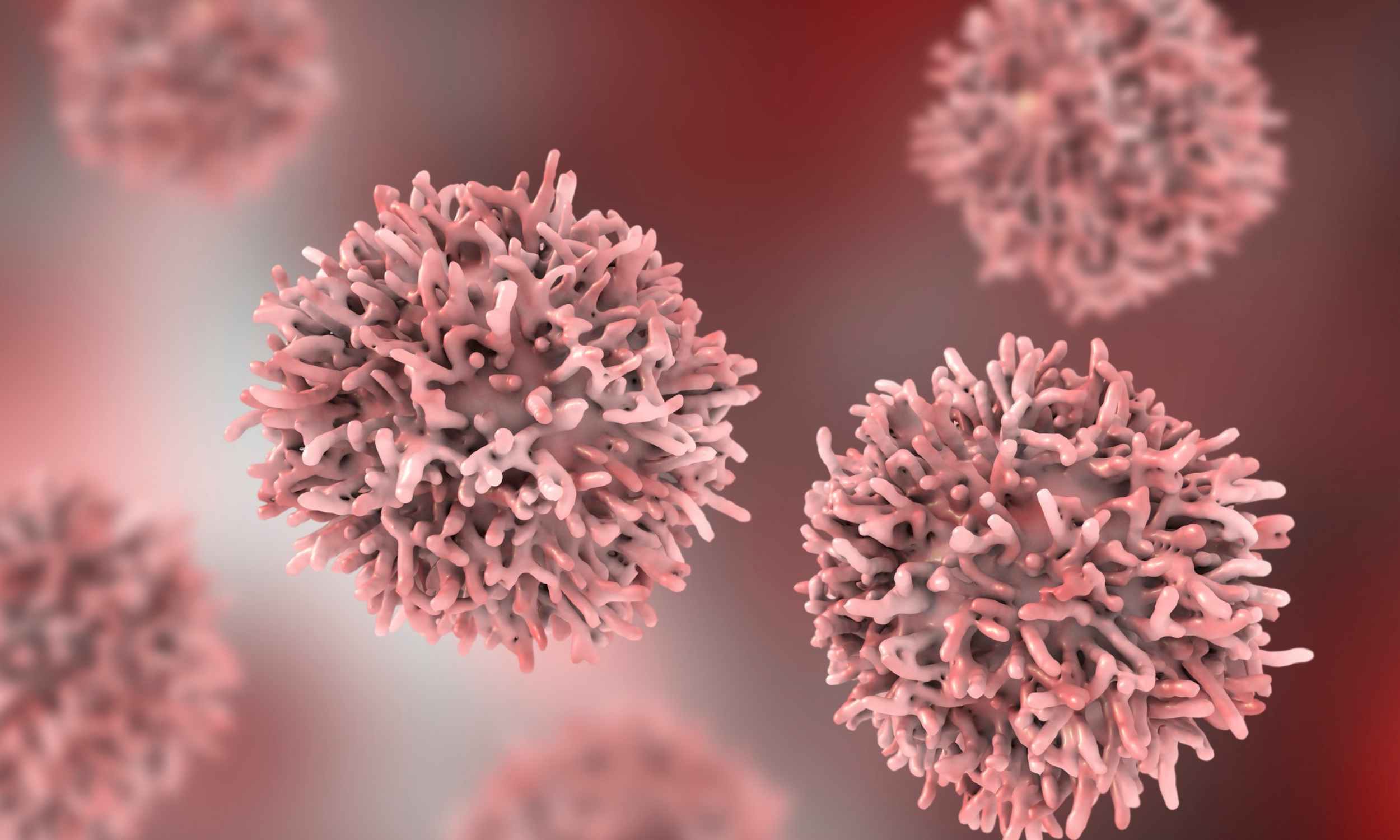 Cancer tricks the immune system with the help of a hormone