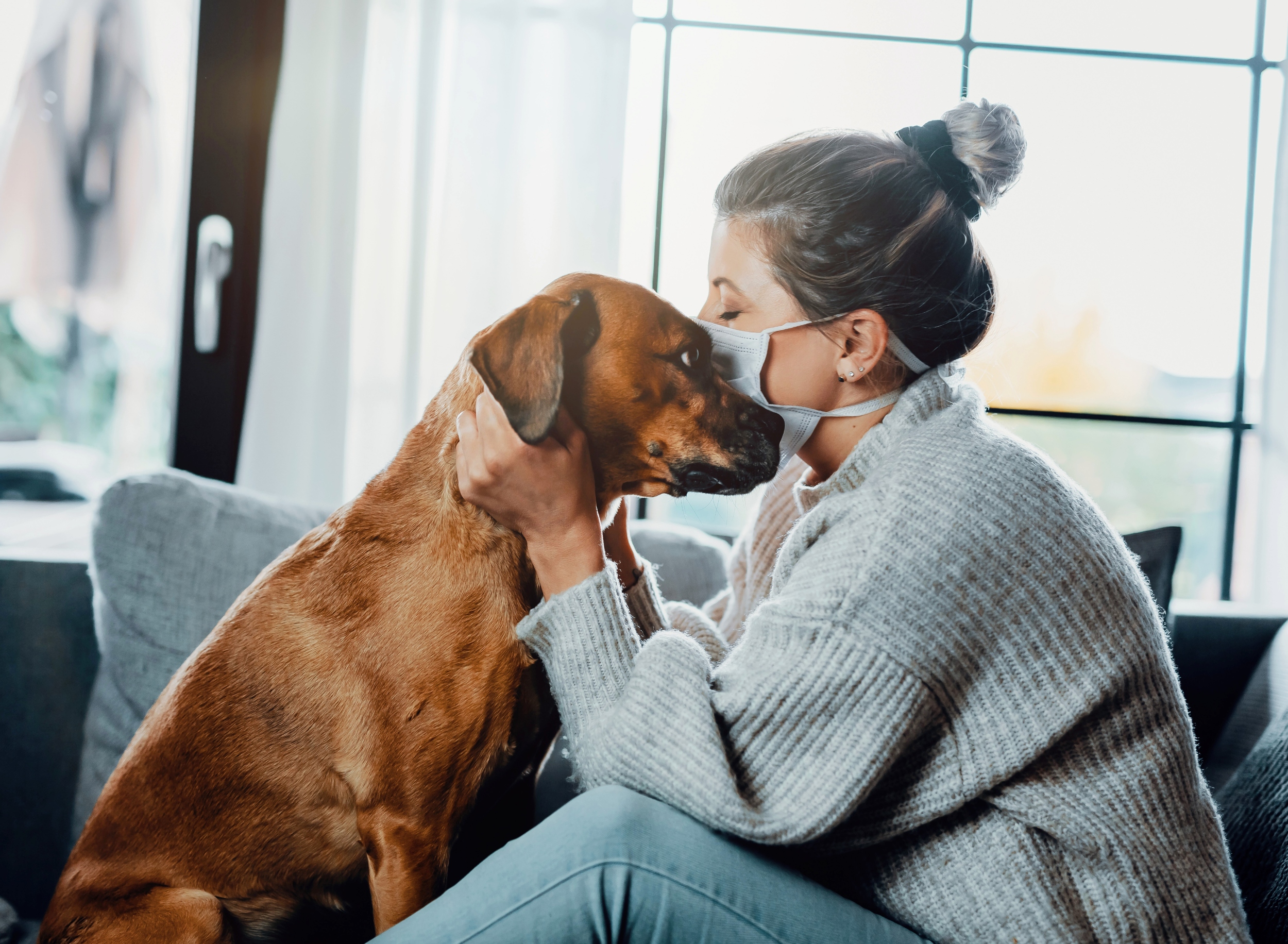 Sudden Change in Dog Behavior: Causes, Signs, and Solutions