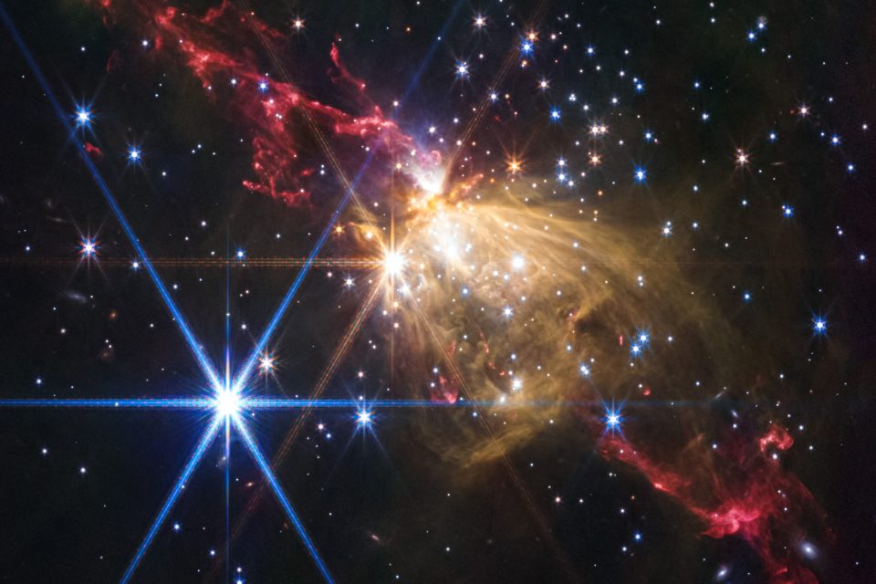 image of the day