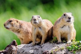 News article thumbnail