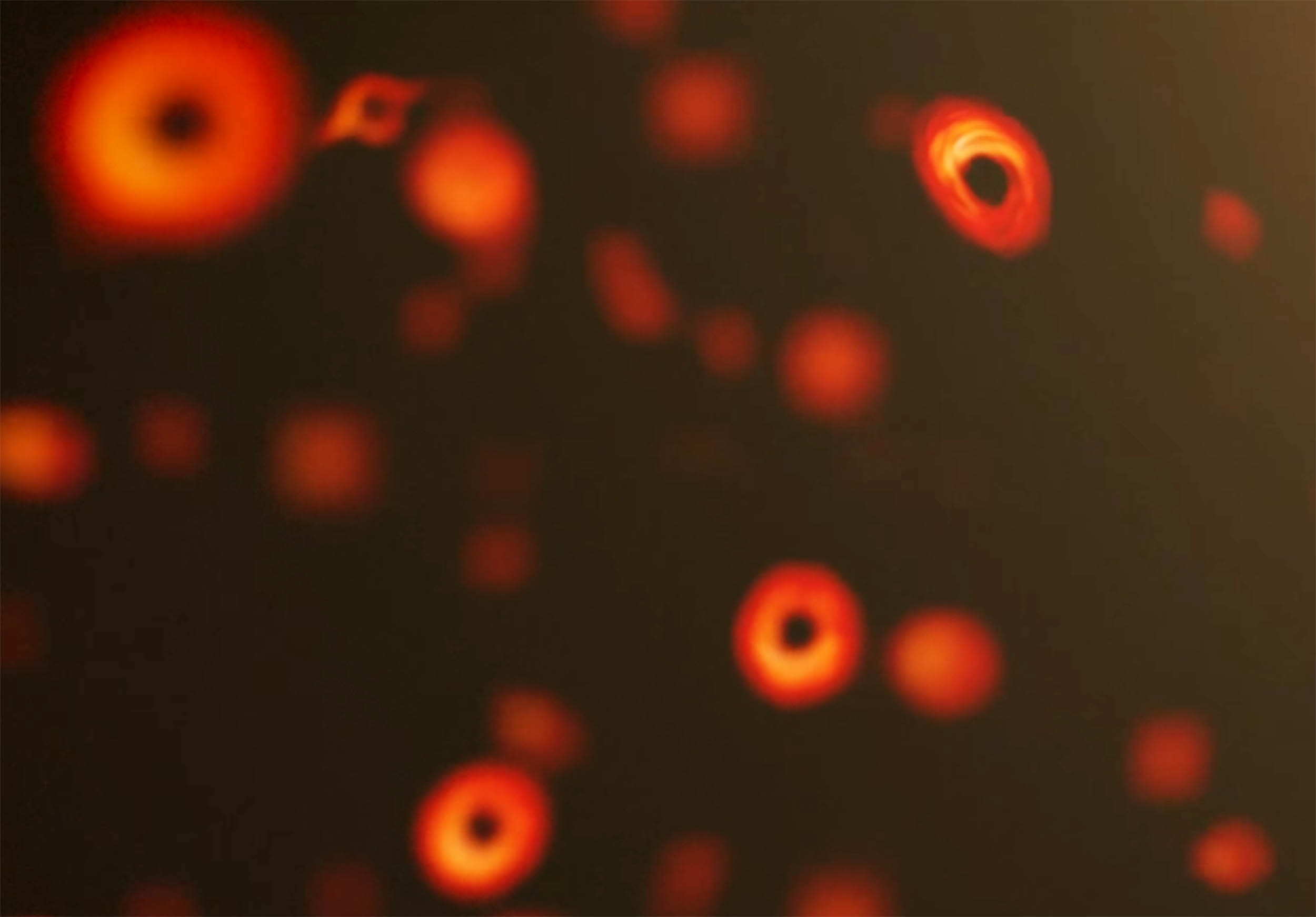 Хар нүх дэлбэрэх үү? Ирэх арван жилд Хокингийн таамаг батлагдаж магадгүй