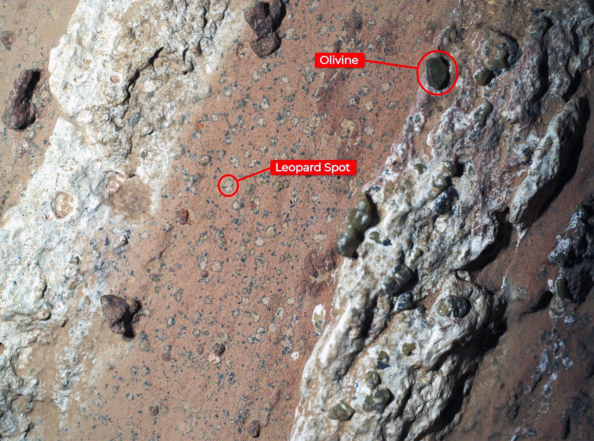 NASA's Perseverance Rover Finds Potential Biosignature on Mars: A Major Scientific Discovery