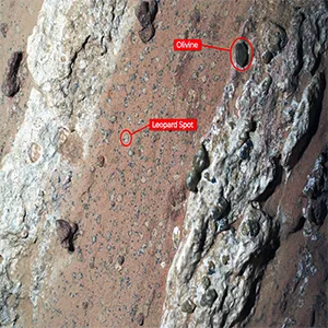 NASA’s Perseverance rover discovered leopard spots on a reddish rock nicknamed “Cheyava Falls” in Mars’ Jezero Crater in July 2024. Scientists think the spots may indicate that, billions of years ago, the chemical reactions in this rock could have supported microbial life; other explanations are being considered. Credit: NASA/JPL-Caltech/MSSS