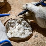 These dinosaur eggs tell an incredible story from 85 million years ago. Credit: Dr. Bi Zhao