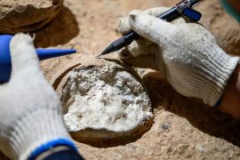 News article thumbnail