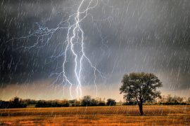 News article thumbnail