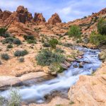 Fish in drylands show early warning signs of climate stress