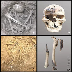 Examples of hyper-flexed burials with partially burned bones from southern China and Indonesia. (A and B) Burial M35, a young male from Liyupo in Guangxi, with its partially burned skull; (C and D) Burial ST1 from Song Terus Cave in Java, showing its partially burned left femur, tibia, and humerus (C: replica; D: courtesy Indonesian-French Joint Prehistory Program). Credit: PNAS