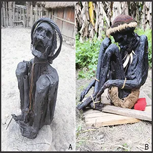 Examples of smoked mummies kept in private households in Papua, Indonesia, photographed in January 2019. (A) A Dani hyper-flexed mummy; (B) A flexed mummy from Pumo Village. Both locations are in Wamena, Jayawijaya Regency, Papua. Credit: PNAS