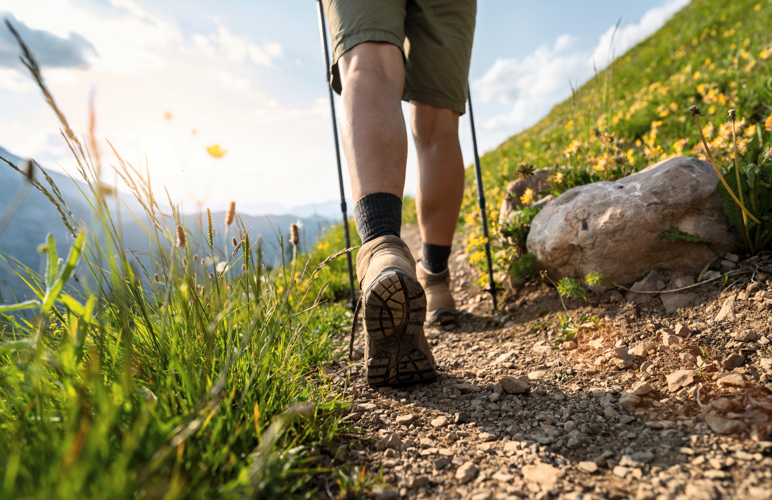 Байгальд алхах нь таны сэтгэл санаа, урам зоригийг өөрчилж чадна