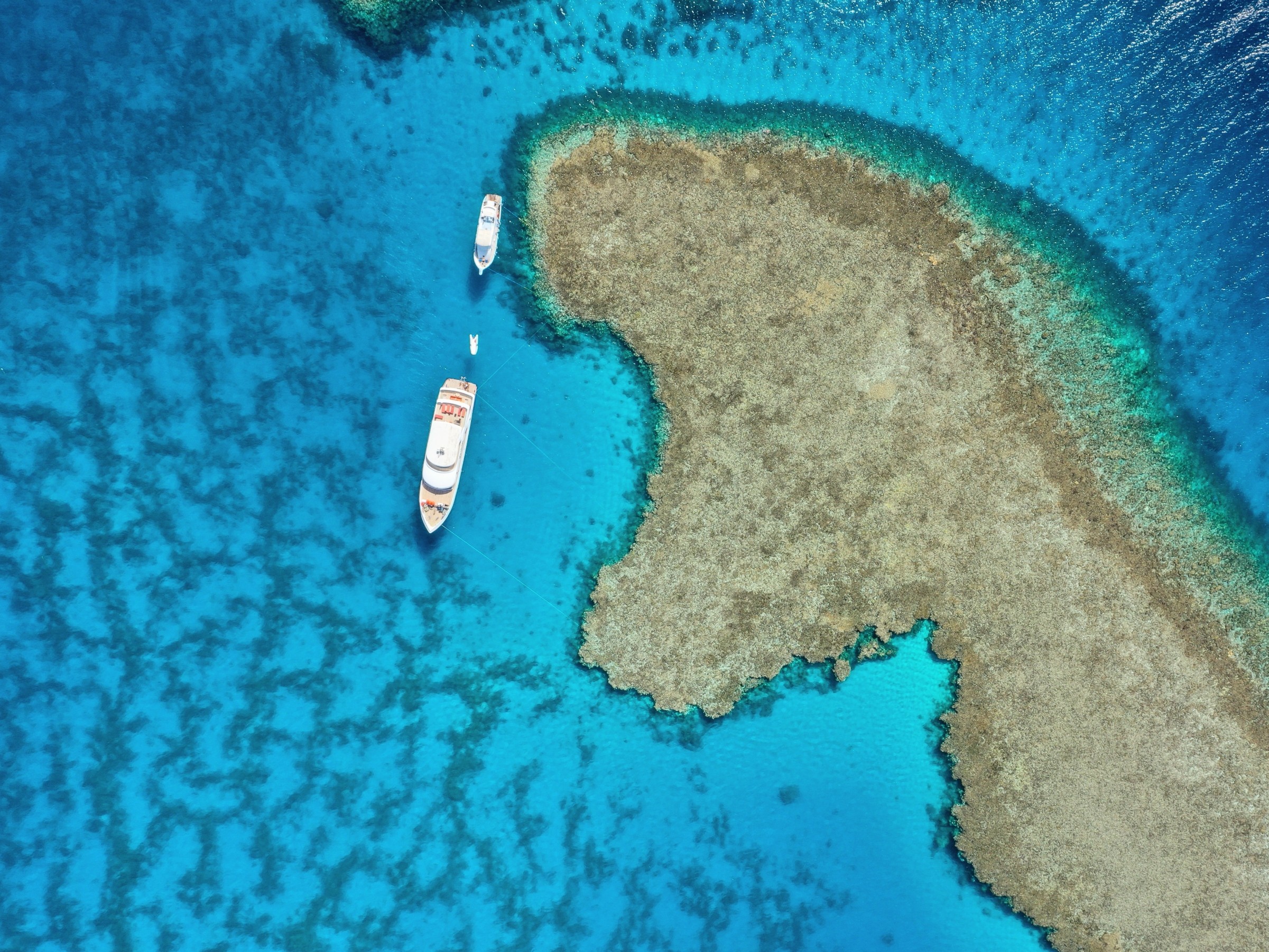 Landmark High Seas Treaty marks new era of global ocean protection