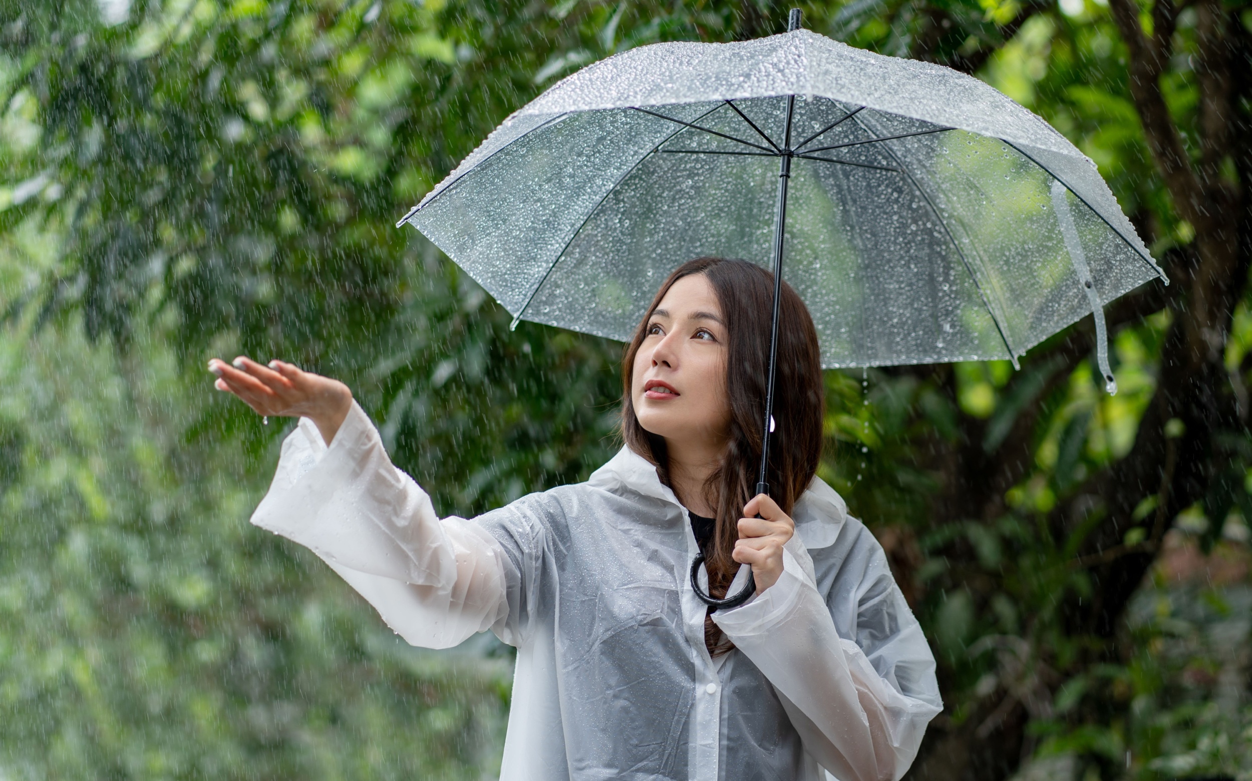 How faraway Atlantic waters influence Asia’s summer rainfall - Earth.com