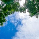 Hydrogen in Earth's atmosphere is rising, making climate change worse