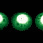 Strange beads and star shapes spotted in Saturn’s atmosphere. Credit: NASA/ESA