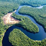 Without trees, Amazon weather will grow more extreme