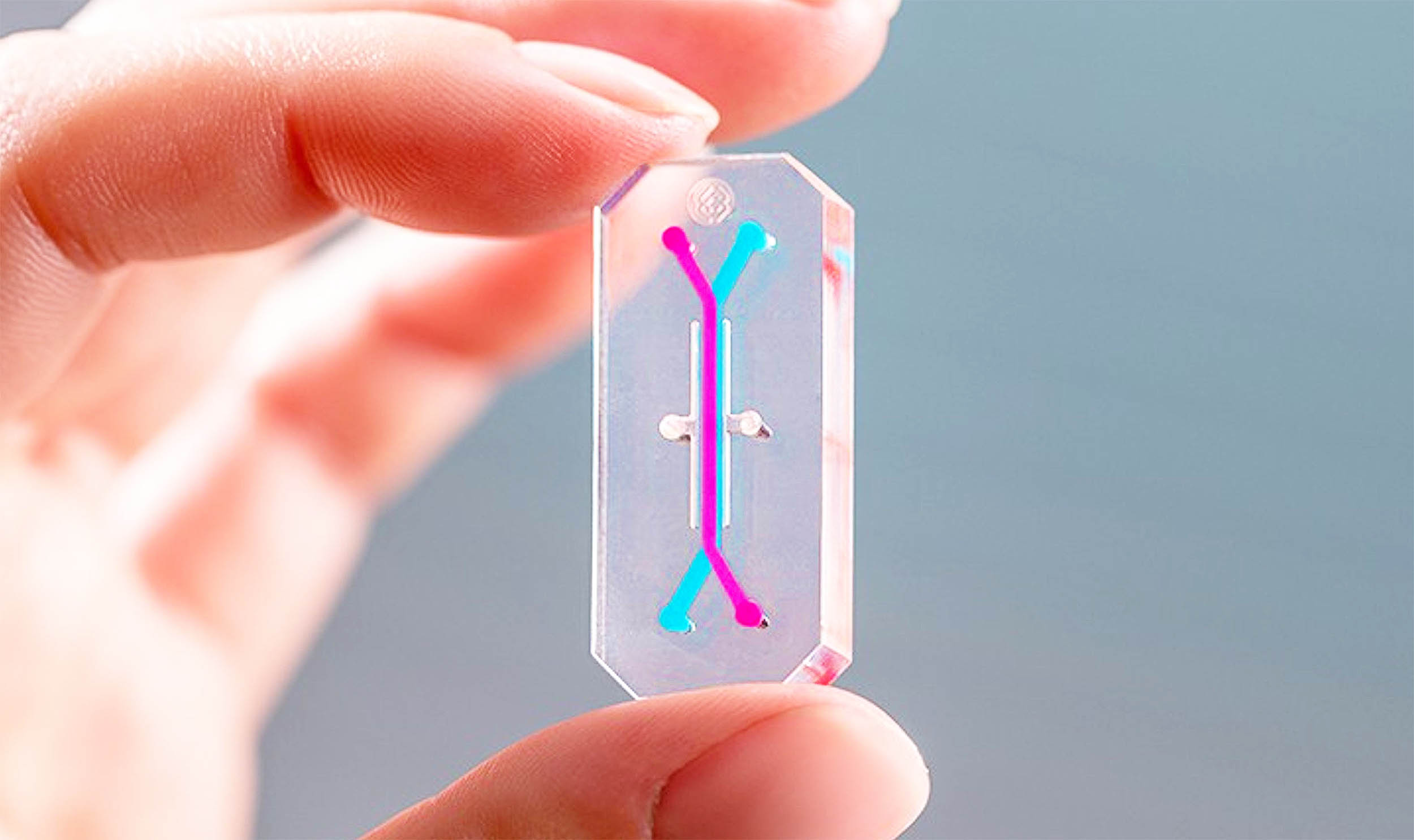 NASA’s AVATAR will learn how space travel affects human organs