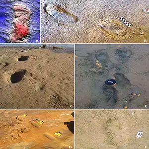 Neanderthal coasteering and the first Portuguese hominin tracksites. Hominin footprints in Pleistocene coastal deposits suggest that Neanderthals spent time at the beach. Credit: Scientific Reports