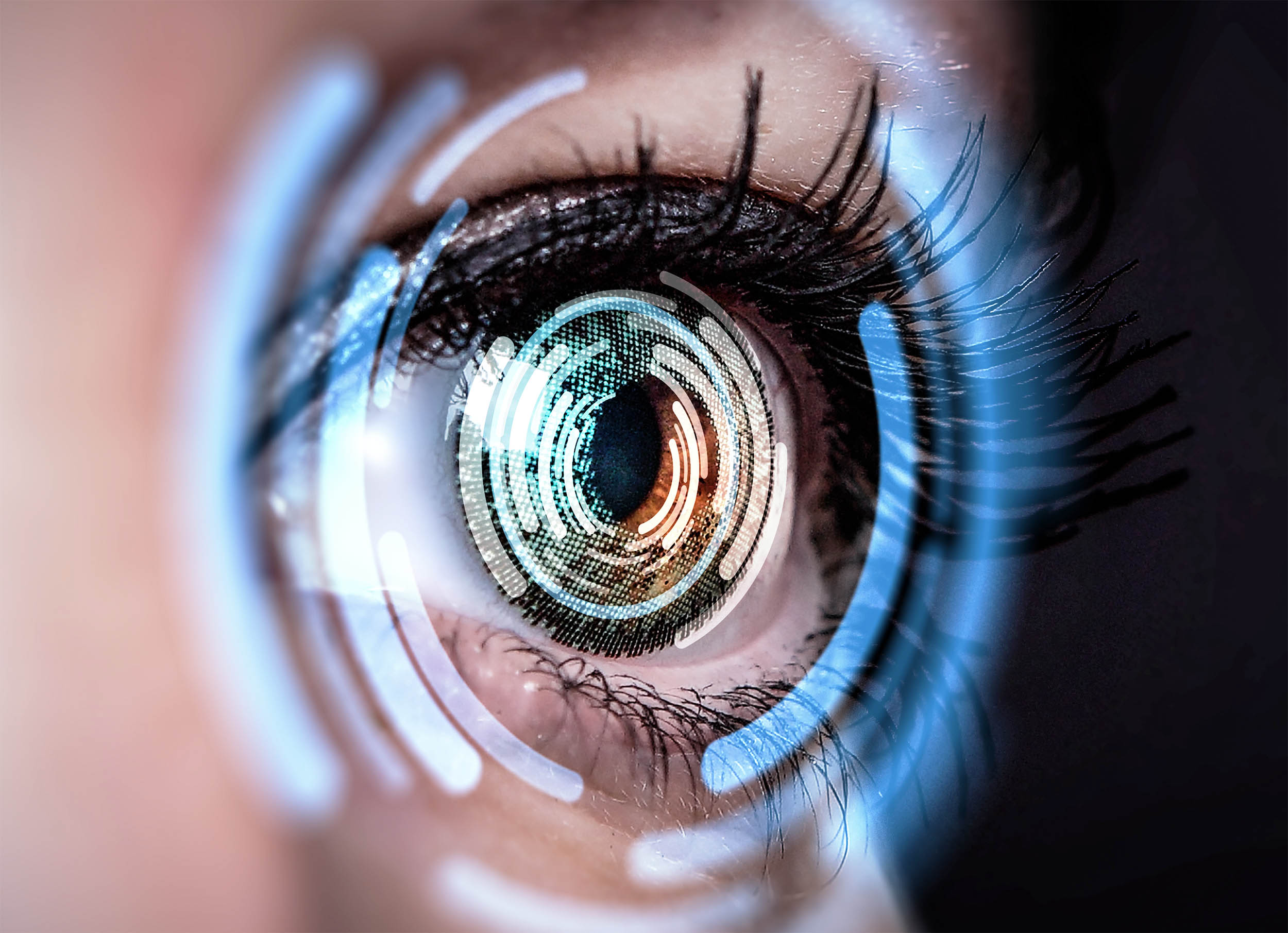 Яагаад таны тархины хоёр тал хөдөлж буй зүйлсийг харах үүргийг зэрэг гүйцэтгэдэг вэ?