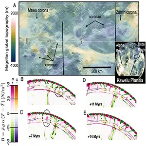 Example of possible coronae formation mechanisms. (A) A close-cropped region of Kawelu Planitia on Venus showing a cluster of coronae features (image from Venus Quickmaps). (B–E) A time evolution of a cold downwelling crossing the glass ceiling and inducing several return-flow secondary upwellings to pass up through the glass-ceiling in response. Credit: PNAS