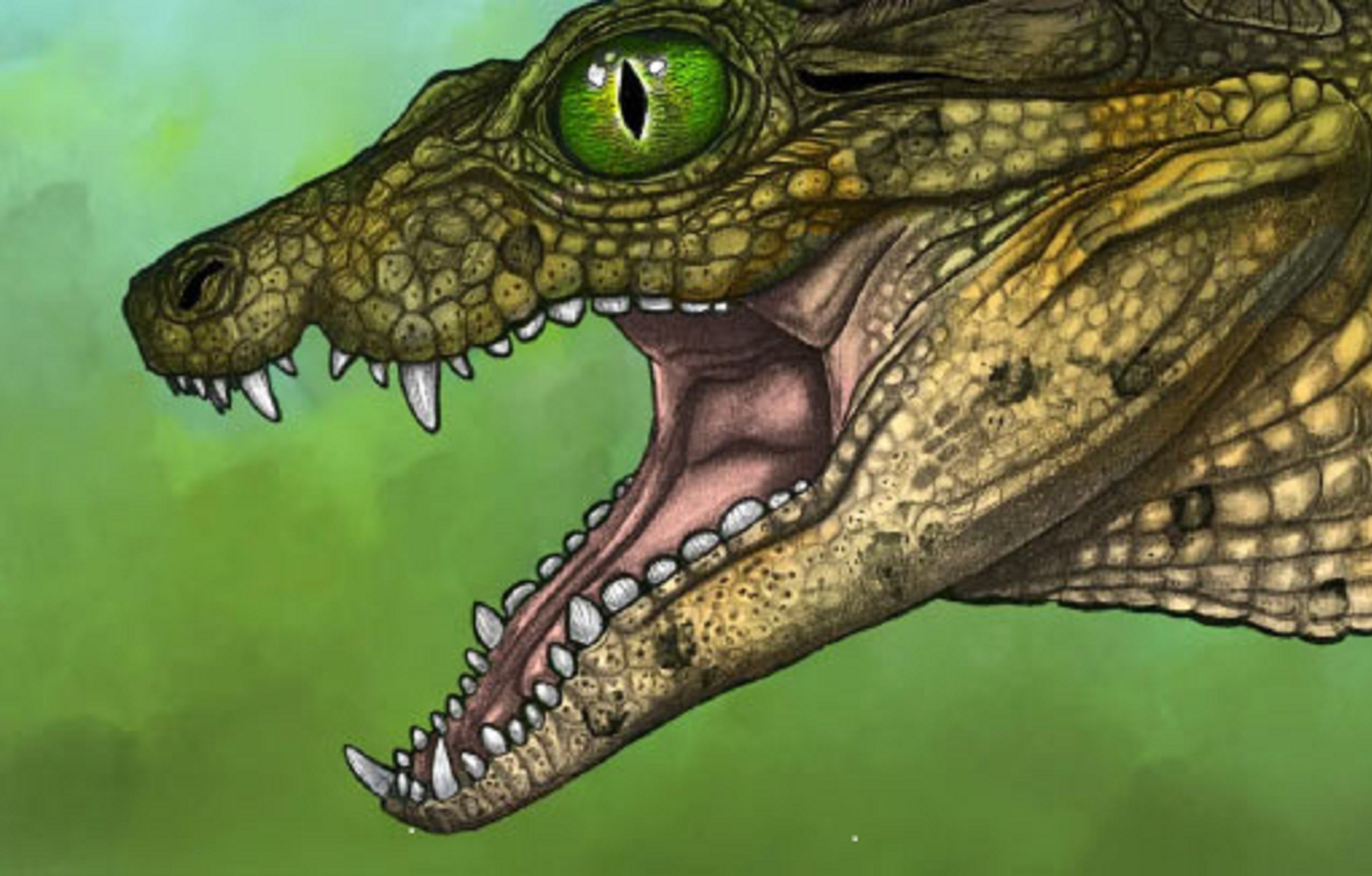 Thikarisuchus-xenodentes2.jpg