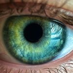 Popular weight-loss drugs may increase risk of vision loss, studies find