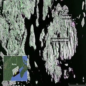 Captured on Aug. 21, 2025, this image from NISAR’s L-band radar shows Maine’s Mount Desert Island. Green indicates forest; magenta represents hard or regular surfaces, like bare ground and buildings. The magenta area on the island’s northeast end is the town of Bar Harbor. Credit: NASA/JPL-Caltech
