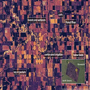 On Aug. 23, 2025, NISAR imaged land adjacent to northeastern North Dakota’s Forest River. Light-colored wetlands and forests line the river’s banks, while circular and rectangular plots throughout the image appear in shades that indicate the land may be pasture or cropland with corn or soy. Credit: NASA/JPL-Caltech