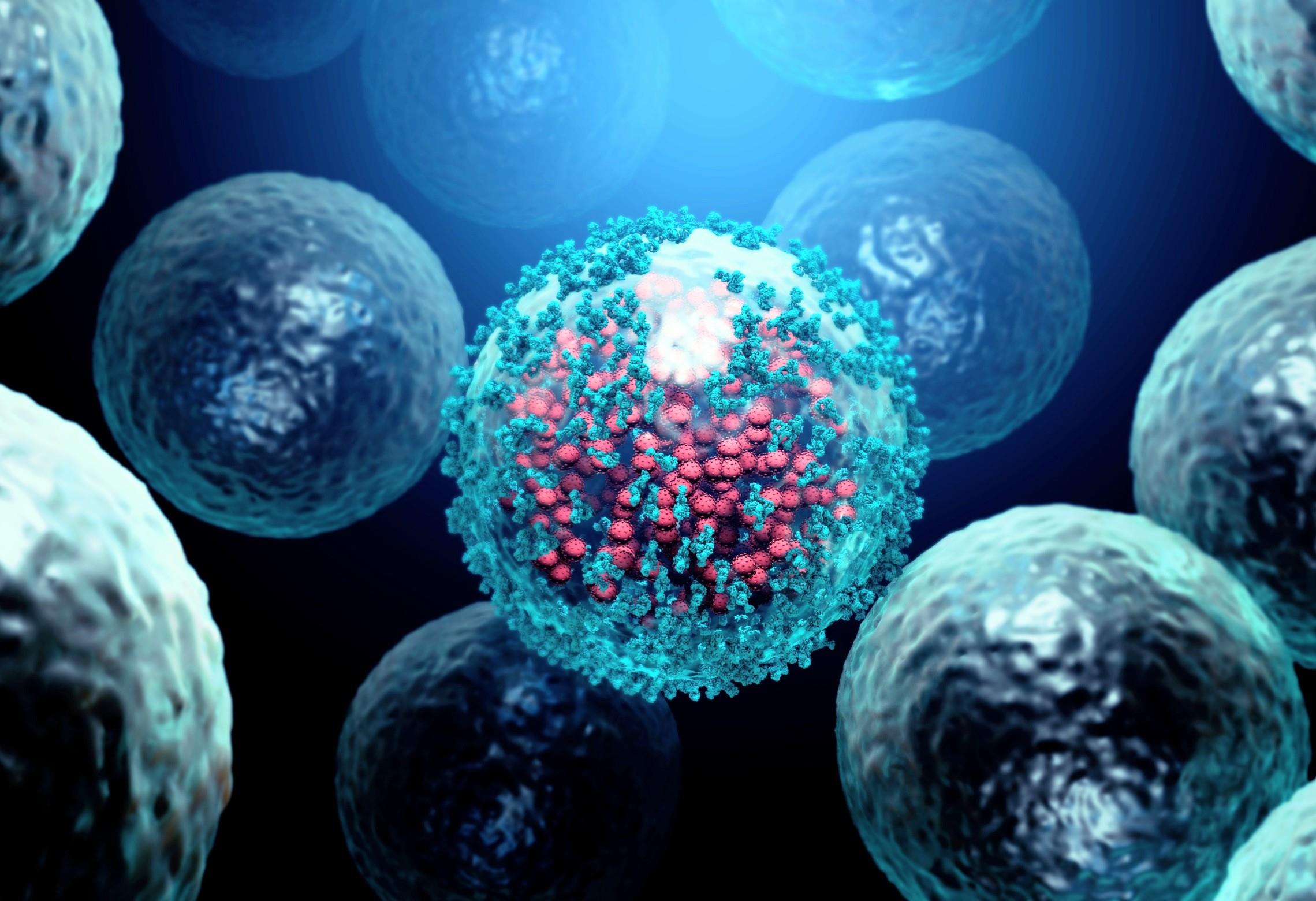 Immune system holds the key to why some ALS patients live longer