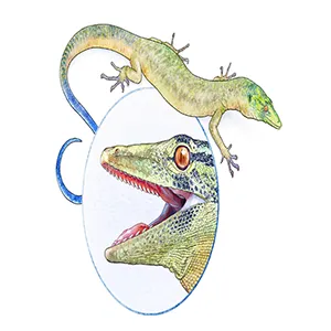 A reconstruction of Breugnathair elgolensis, the newly described Jurassic species with characteristics of both lizards and snakes. Credit: Mick Ellison/AMNH