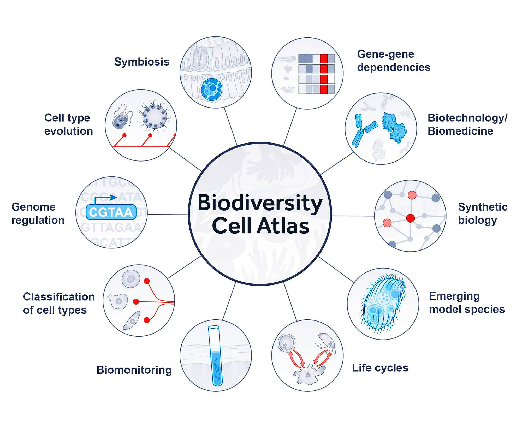 Biodiversity Cell Atlas project is creating a map of every living thing