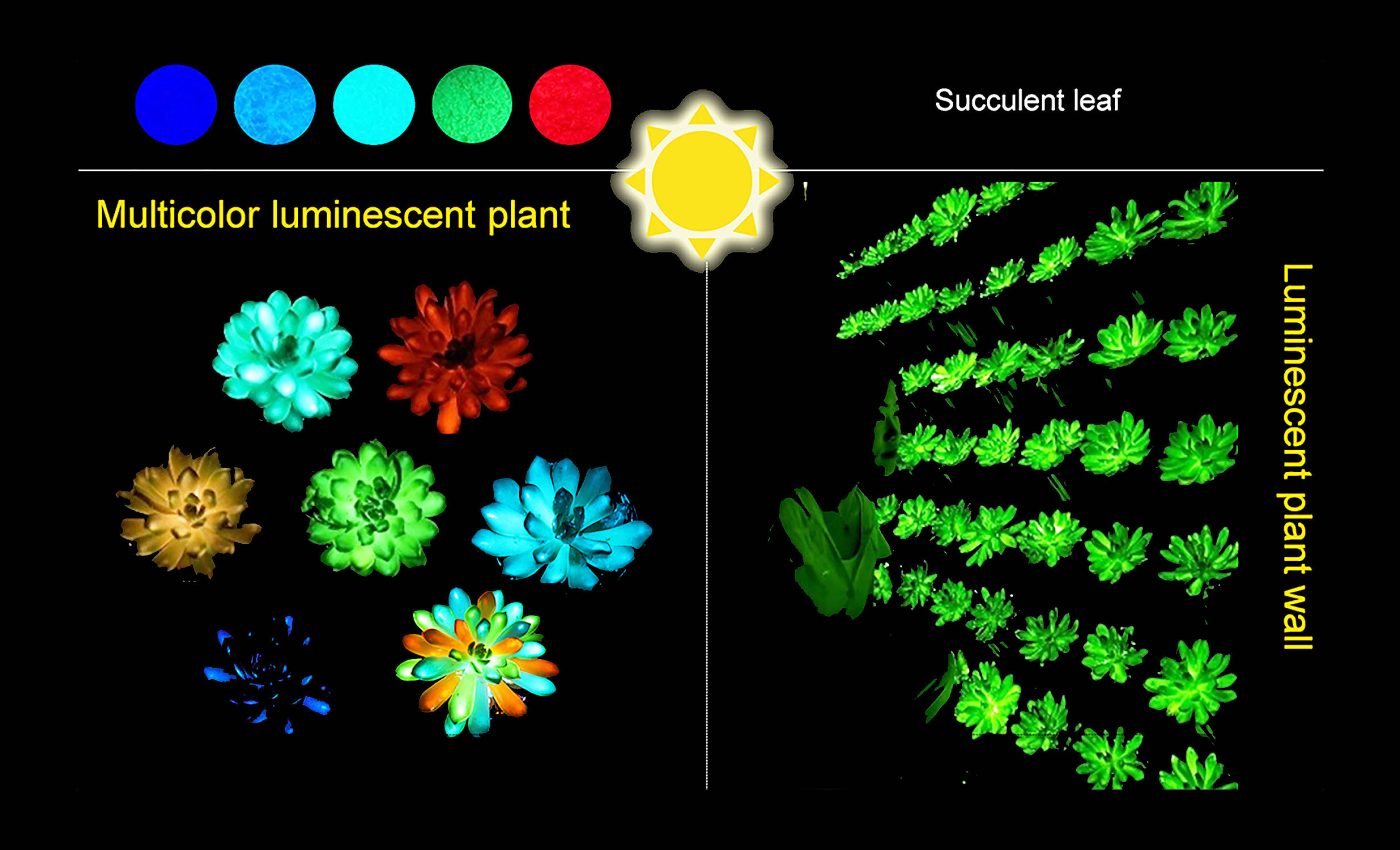 Scientists create plants that glow brightly and "recharge" in minutes -  Earth.com
