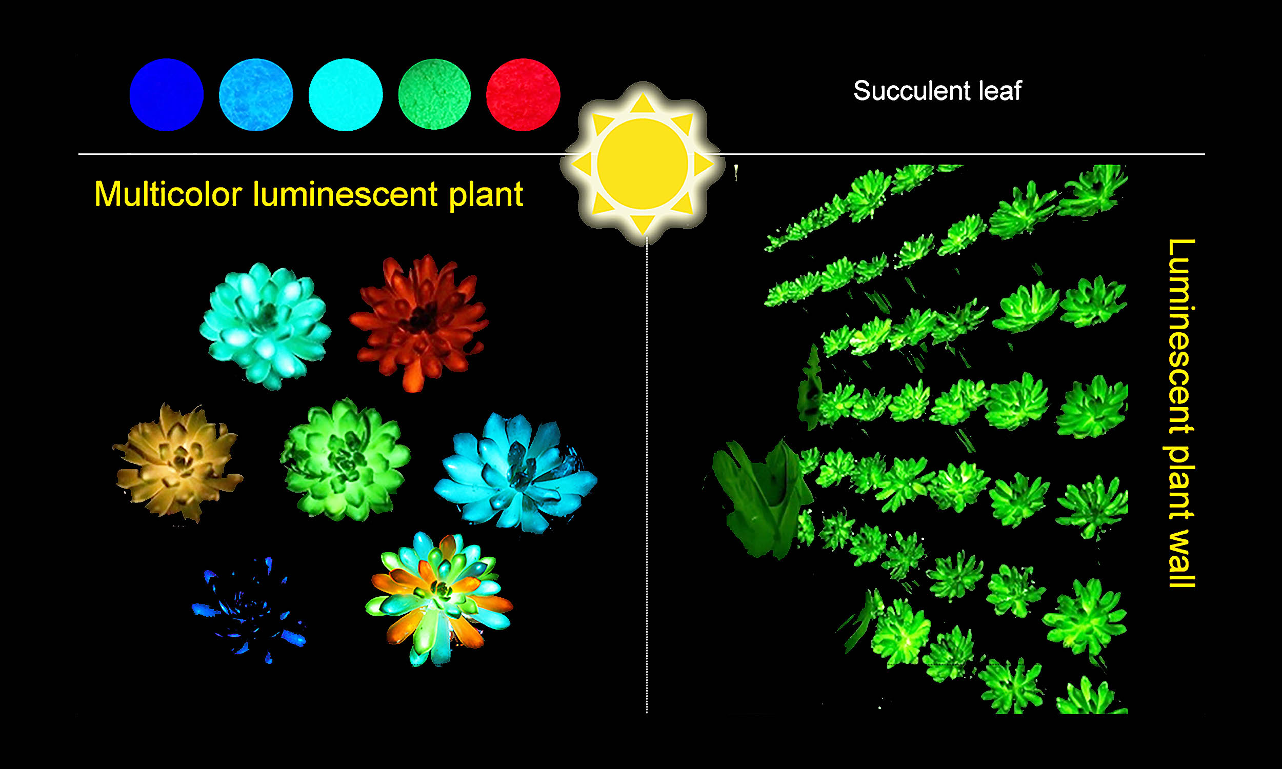 Scientists create plants that glow brightly and "recharge" in minutes