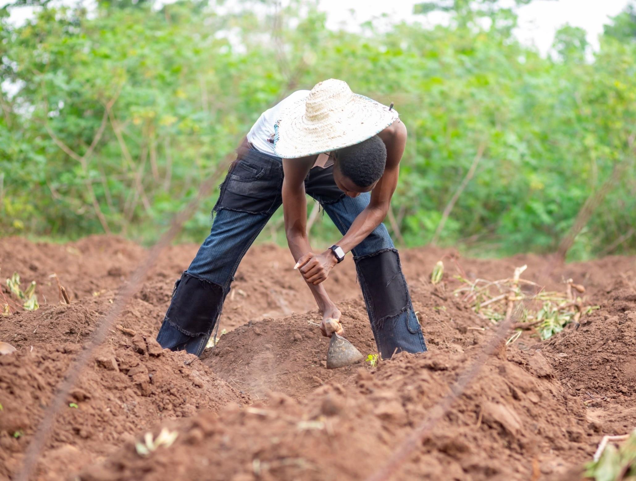 Ethiopia’s soil is running out of carbon and it's fueling climate change