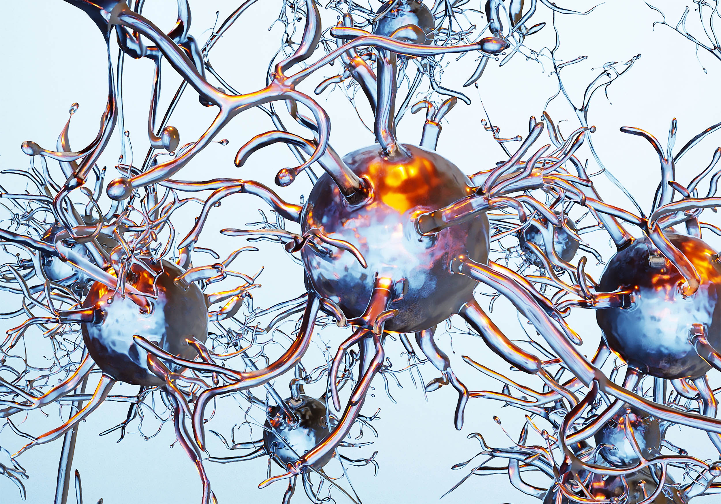 Memories are stored in other parts of the body, not just in the brain