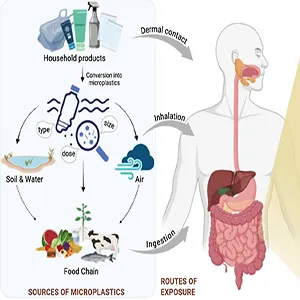 microplastics can alter the human gut microbiome, with some changes resembling patterns linked to depression and colorectal cancer. Credit: NIH