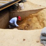 Archaeologists discover what animals the first colonists brought to the New World