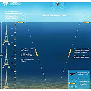 Redwing moves not with a propeller, but by adjusting its buoyancy, sinking and rising in a graceful zigzag pattern that conserves energy. Credit: Teledyne Marine