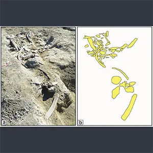 Archaeological and palaeontological deposit of Casal Lumbroso (a) and the draw of the large mammal bones exposed in the main surface (b). Credit: Mecozzi et al., 2025, PLOS One