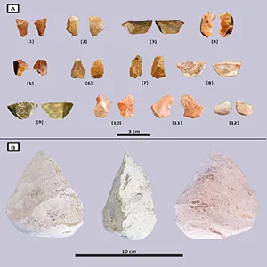Tiny flake tools like these were used to butcher the elephants and make larger tools from their bones. Credit: PLOS One