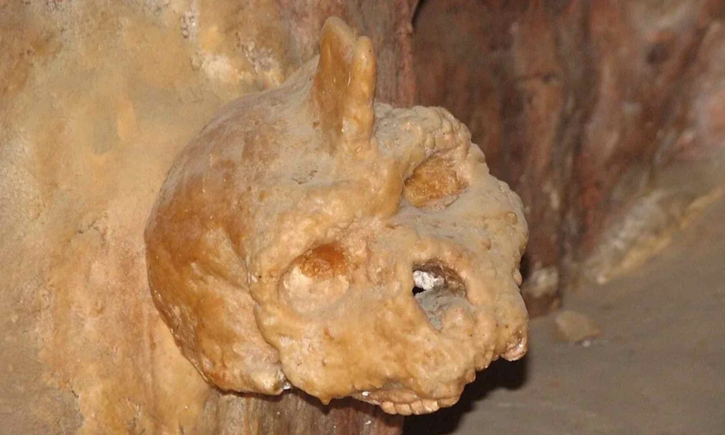 300,000-year-old skull discovered in a Greek cave belongs to an unknown early human species