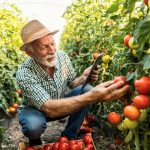 Changing the food we eat could heal both people and the climate